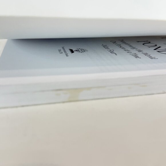 Pebbles in the Pond Transforming The World Christine Kloser 2015 Trade Paperback - Picture 7 of 7